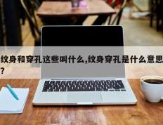 纹身和穿孔这些叫什么,纹身穿孔是什么意思?