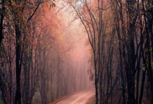 ac米兰迪亚斯,迪亚斯租借米兰