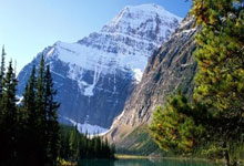 香港公司有营业执照,香港公司营业执照样本